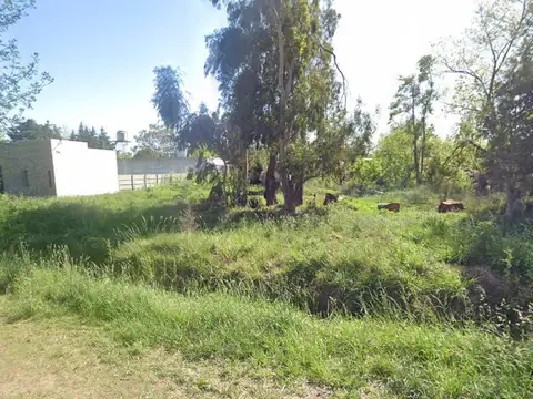 Los Álamos e/ Los Laureles y La Magnolia