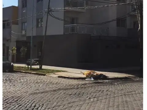 OPORTUNIDAD !! MONO AMBIENTE DIVIDIDO * SAN MARTIN ESQ. CASTELLI *