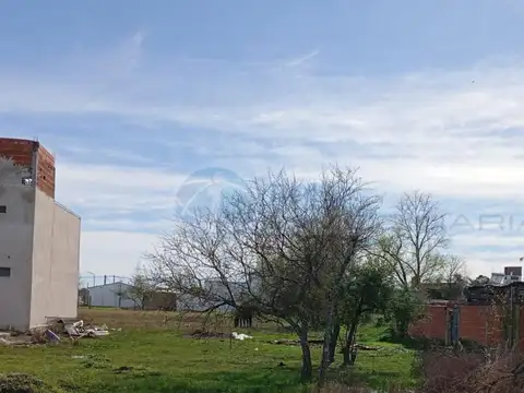 Paranacito