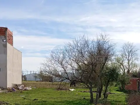 TERRENO A MEDIA CUADRA DE AVENIDA