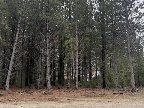 Terreno en Venta en San Carlos de Bariloche, Bariloche