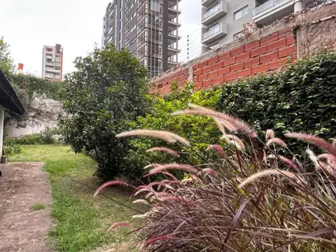 San Martín 800