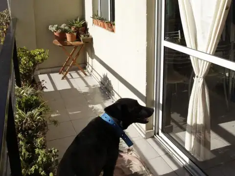 Depto Tipo Casa en Venta en Villa Urquiza, USD 138.000