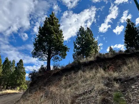 Terreno en Venta de 3728,0 m2