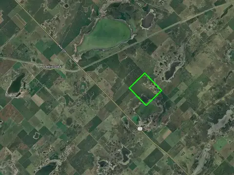 Campo en Pehuajo