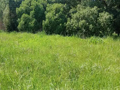 Terreno en Venta de 338,0 m2