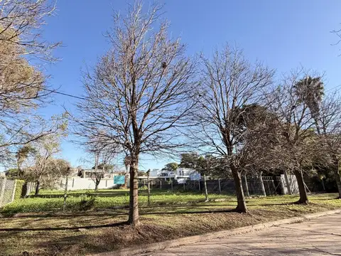 Terreno en Venta de 516,0 m2