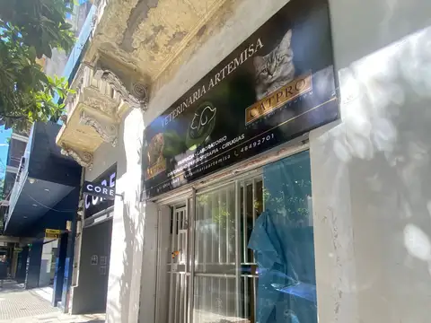 Local Comercial en Alquiler, Las Cañitas, Apto Todo Rubro