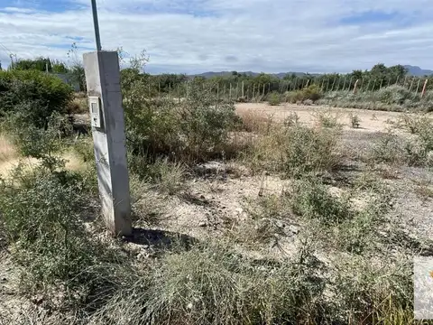 Terreno en Venta en Ullum, San Juan