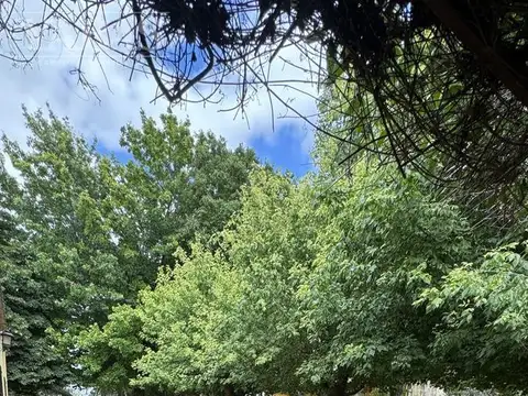 VENTA - CAMPO - 1.3 HECTAREAS - LA CELINA (BS.AS)