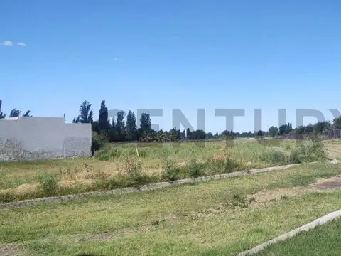 SEVERO DEL CASTILLO , Piso 0