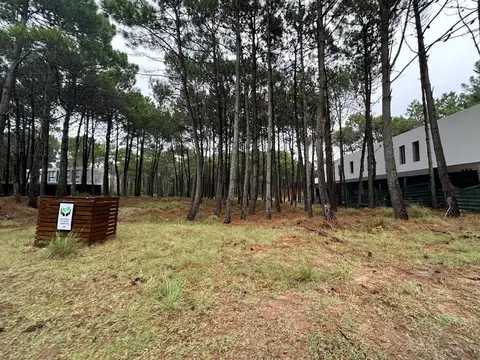 Terreno en Venta 43  mts Fondo