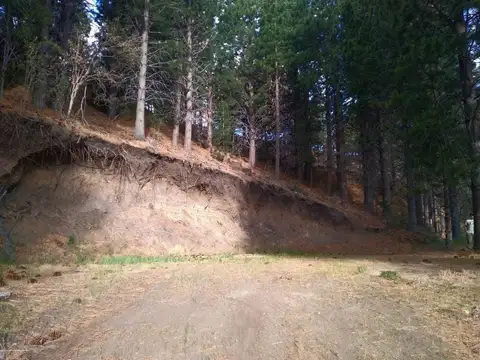 Terreno en Venta de 3891,0 m2