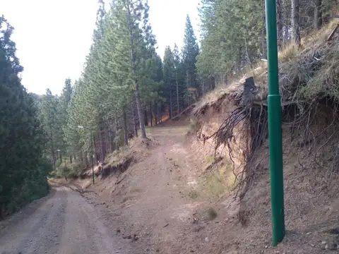 LA ALAMEDA Y AMANCAY