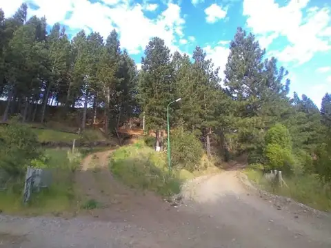 LA ALAMEDA Y AMANCAY