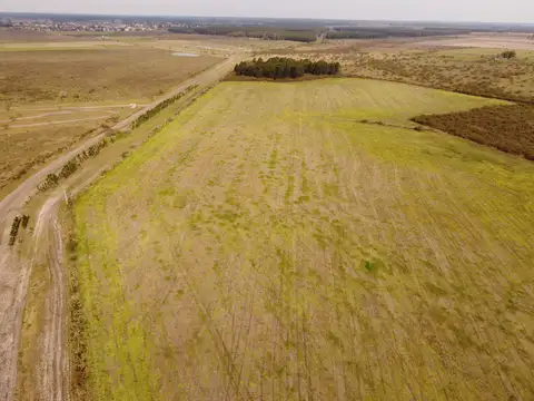 81 has campo agrícola ganadero en venta en Dpto. Concordia ER