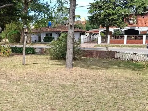 Paseo 115 100