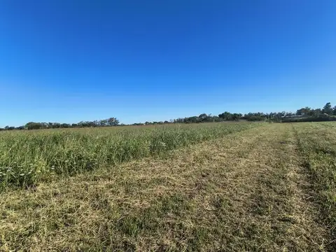 Terreno en Venta en Miramar, USD 25.000