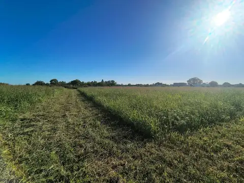 Venta terreno en Miramar de Ansenuza San Justo Córdoba