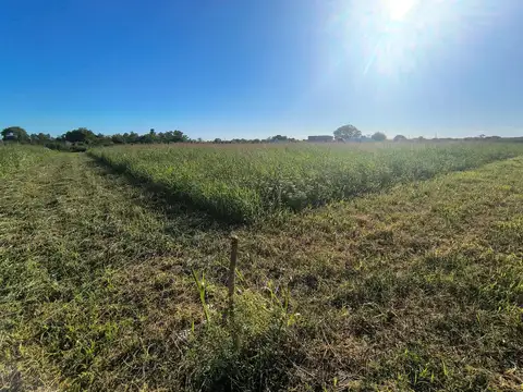 CALLE PUBLICA  S/N - MIRAMAR DE ANSENUZA - SAN JUSTO - CORDOBA