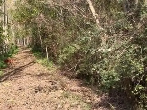 Venta Terreno de 7,80 Has Delta Altos de San Fernando con 239m de Costa