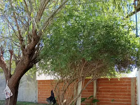 Terreno en Venta de 340,0 m2
