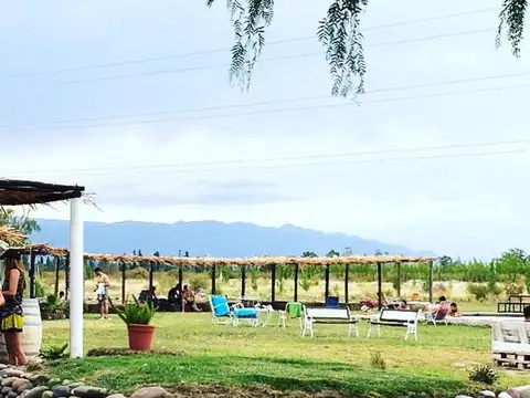 Local en Alquiler 7 años