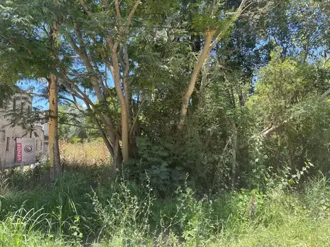 Rondeau 100