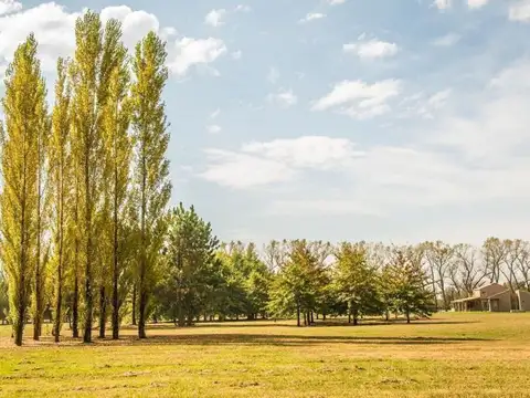 Terreno en Venta de 2478,0 m2