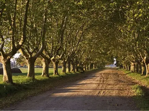 Terreno en Venta de 2478,0 m2