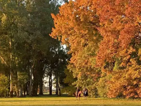 Terreno en Venta en Cañuelas, USD 62.000