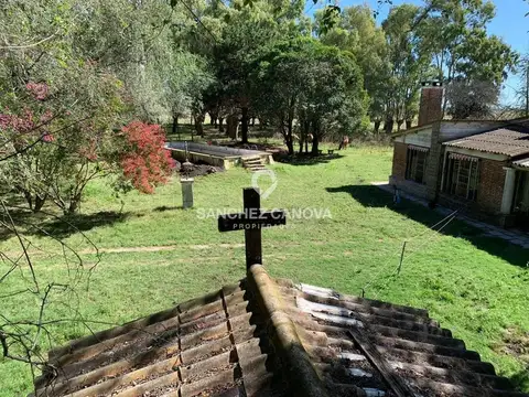 Terreno Campo  en Venta en Olavarría, Resto de la Provincia, Buenos Aires