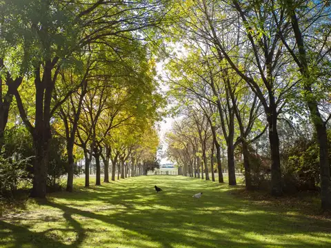 Campo en Venta en San Antonio de Areco, Partido de San Antonio de Areco