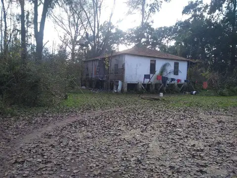 Rio / Arroyo Felicarias 100