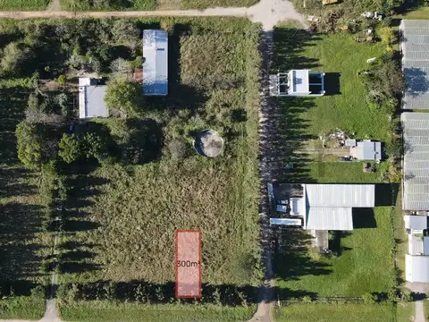 Lote Terreno en venta en La Plata, Lisandro Olmos 200m²