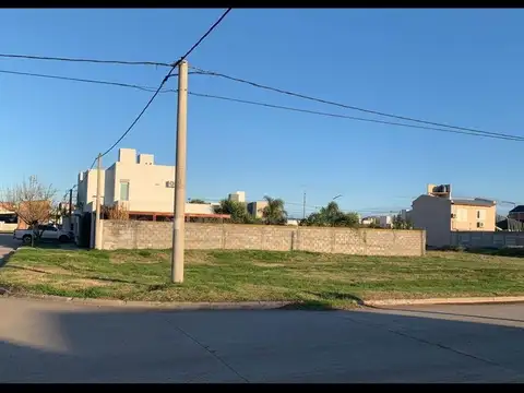 Amincton y Camarero