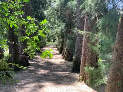 Terreno Lote  en Venta en Carapachay, Zona Delta, Tigre
