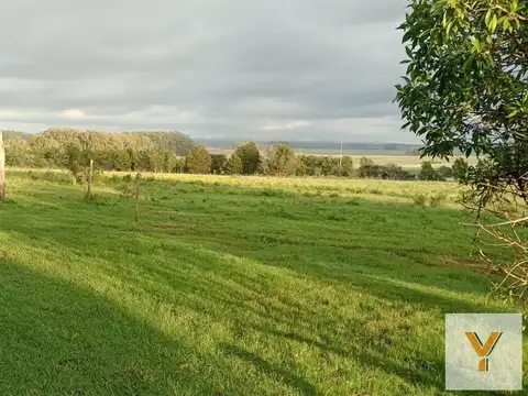 Ruta 9 y Paraje el Arbolito