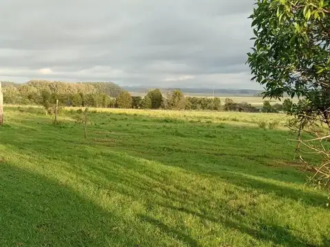 Ruta 9 y Paraje el Arbolito