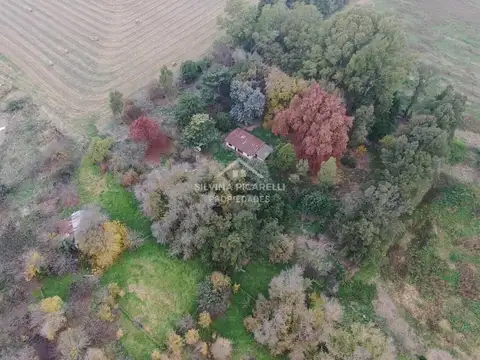 Terreno Campo  en Venta en Chenaut, Exaltación de la Cruz, G.B.A. Zona Norte