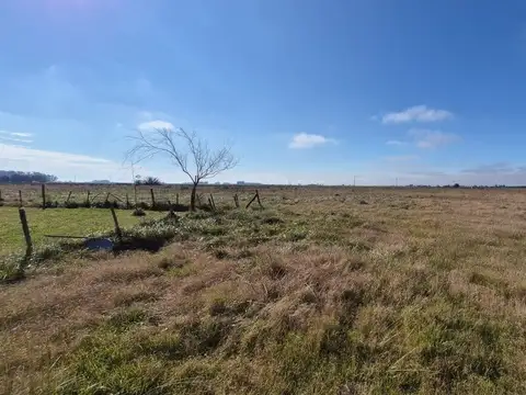 CHACRA CON CASA EN VENTA BRANDSEN 4.5 HECTÁREAS