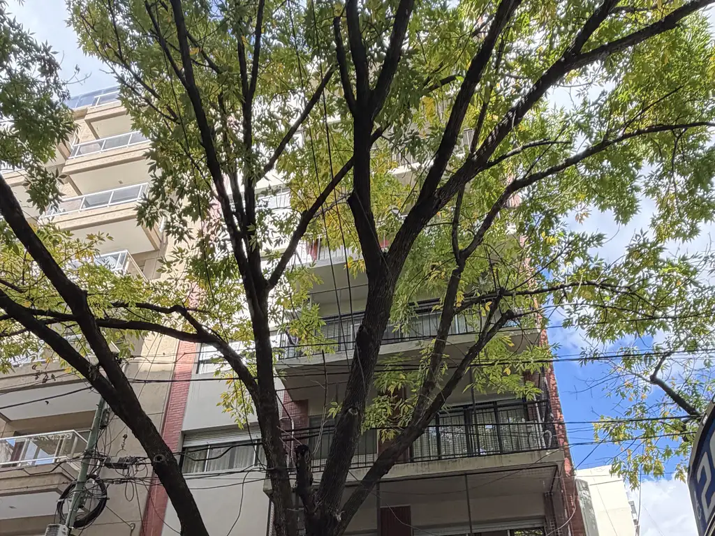 Viamonte 2800, Piso Pb