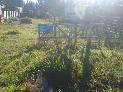 Terreno - Venta - Argentina, DOMSELAAR - Mistral 3419