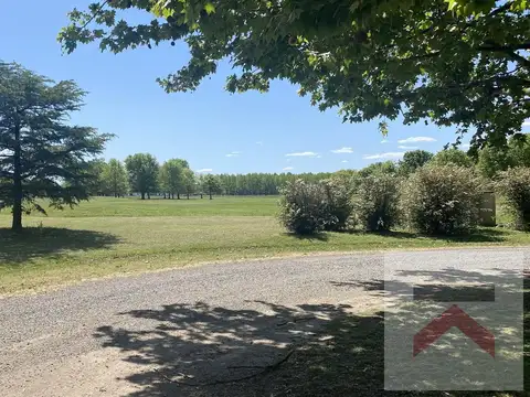 Terreno en Venta de 10000,0 m2