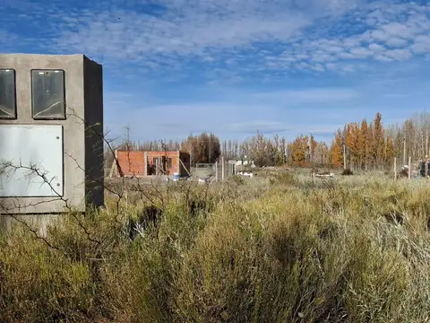 Terreno en Venta 12  mts Frente