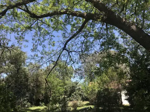 Terreno en Venta 69  mts Fondo
