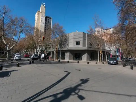Negocio especial en Venta en Villa Mercedes, General Pedernera