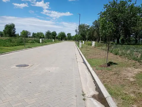 Terreno en Venta de 250,0 m2