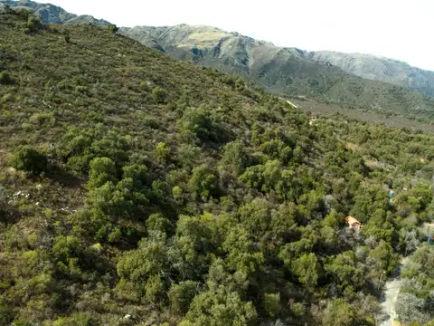 Inti Raymi Sn