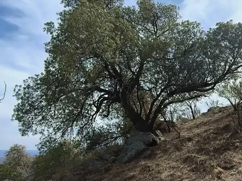 Terreno en Venta en Rincon Del Este, USD 30.000